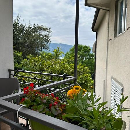 Apartman Nina Risan Exterior photo