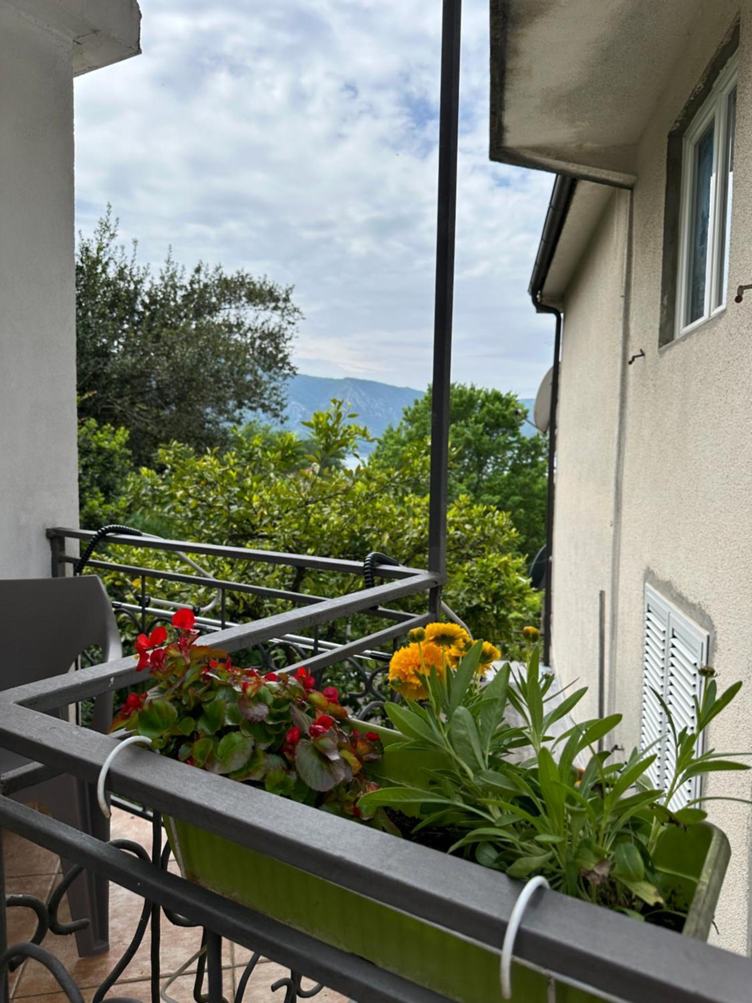 Apartman Nina Risan Exterior photo